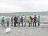 Am Strand der Insel Fehmarn