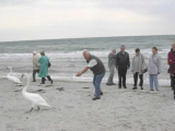 Klaus lockt den Schwan