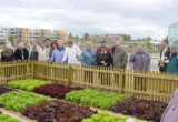 Der "ländliche Garten" findet großes Interesse und anerkennende Blicke..