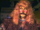 Rum Tum Tugger<br><br>...Er liebt es, mit den weiblichen Katzen zu flirten...