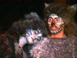 Grizabella, die Glamour-Katze<br><br>Old Deuteronomy entscheidet, daß Grizabella dieses mal auserwählt wird...