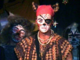 Gus, der Theater-Kater<br><br>Heute schon sehr alt,<br>spielt er nochmals seine größte Rolle als "Growltiger",<br>dem gefürchteten Pirat..