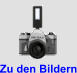 Zu den Bildern